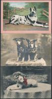 8 db RÉGI motívumos képeslap; kutya, macska / 8 pre-1945 motive postcards; dog, cat