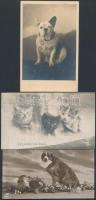 8 db RÉGI motívumos képeslap; kutya, macska / 8 pre-1945 motive postcards; dog, cat