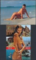 10 db MODERN megíratlan erotikus képeslap / 10 modern unused erotic postcard, nude ladies