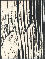 cca 1978 Szabó Anna: Emlékek, feliratozott vintage fotóművészeti alkotás, 18x24 cm