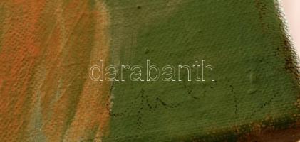 Denes Gulyas (1927-2003): Parliament from Buda. Oil, canvas, signed, 100×120 cm
Hungarian contempor...