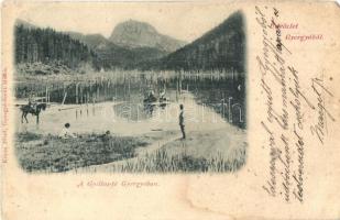 1899 Gyilkos-tó, Lacul Rosu; Üdvözlet Gyergyóból. kiadja Kricsa Péter / lake (b)