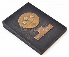 Gács Lajos (1905-1981) 1938. "Országos Mezőgazdasági Kiállítás 1938 - Kitűnő" Br plakett f...