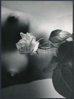 cca 1979 Bimbózó szépségek, vintage fotó, 18x24 cm / erotic photo, 18x24 cm