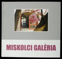 Miskolci Galéria. Szerk.: Dobrik István. Miskolc, 2011, Miskolci Galéria. Kartonált papírkötésben, jó állapotban.