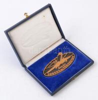 ~1980. "Malév - 50.000km - Törzsutas" Br plakett, eredeti tokban (58x110mm) T:2