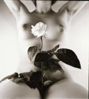 cca 1978 Műtermi, lakás vagy más belső térben készült akt felvételek tétele, 13 db vintage negatív, ...