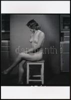 cca 1980 Lakások és modellek, 4 db korabeli negatívról készült mai nagyítások, 27,5x20,5 cm és 18x13...