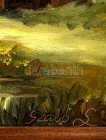 Szabó László (?- ): Szalafő, Pityerszer 1. sz. porta 1993, olaj, farost, jelzett, keretben, 38×57 cm