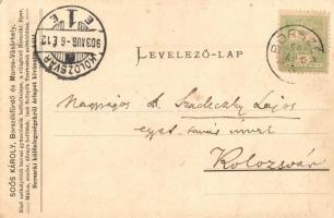 Borszék, Borsec; Alsó borszéki részlet, Soós kiadása hátoldalon Soós Károly gyümölcs befőzőtelepének...