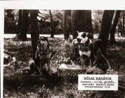 ,,Néma barátok" című film állóképei, 21 db negatív, ezekről készültek a mozik előcsarnokában ki...