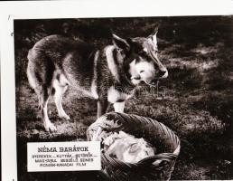 ,,Néma barátok" című film állóképei, 21 db negatív, ezekről készültek a mozik előcsarnokában ki...