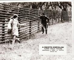 ,,Fekete angyalok" című film állóképei, 20 db negatív, ezekről készültek a mozik előcsarnokában...