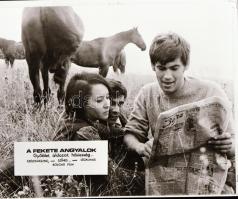 ,,Fekete angyalok" című film állóképei, 20 db negatív, ezekről készültek a mozik előcsarnokában...