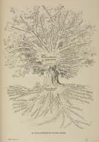 1897 Nagy Miklós (szerk.):  Képes folyóirat a Vasárnapi Ujság füzetekben. 1897. II. félév, XXI. köte...