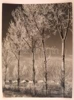 cca 1959 Medgyesi László: Téli napsütésben, feliratozott vintage fotóművészeti alkotás, kiállítási emlékpecsétekkel,39x29 cm