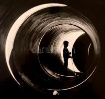 cca 1980 Vincze János (1922-1998): Csőlátás, jelzés nélküli vintage fotóművészeti alkotás a szerző h...