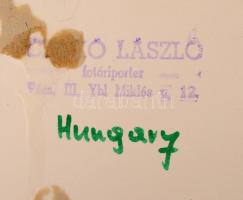 1973 Czakó László: Diagonális akt, pecséttel jelzett, vintage fotóművészeti alkotás, 40x28,5 cm