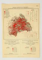 cca 1919-1920 Románok a Kárpátok és a Tisza között, 2 térkép egy lapon, lépték nélkül, 31,5×22 cm