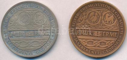 Lisztes István (1942-) 1973. "MÉE - Jászberényi Csoport / Pest-Buda-Óbuda egyesítésének századi...