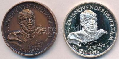 Sebestyén Sándor (1949-) 1989. "MÉE - 200 éves a sátoraljaújhelyi Kossuth Lajos Gimnázium"...