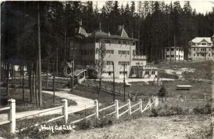 1941 Borszék, Borsec; Wold üdülő, Heiter György fényképész / hotel, photo (EK)