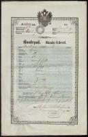 1853 Házaló útlevél / 1853 Peddler passport