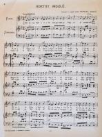 1923 Fakras Dezső: Horthy-induló énekhangra és zongorára. Bp., Turán Regőscsoport. Kotta, jó állapot...