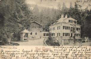 Bad Gastein,Villa Meran (EK)
