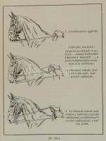 Müseler Vilmos: A lovaglás iskolakönyve. Fordította és jegyzetekkel elláta Ágcsernyói és szerdahelyi...