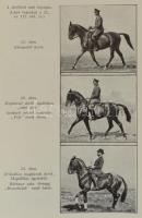 Müseler Vilmos: A lovaglás iskolakönyve. Fordította és jegyzetekkel elláta Ágcsernyói és szerdahelyi...