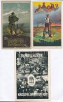 4 db RÉGI irredenta képeslap, vegyes minőségben / 4 pre-1945 irredenta postcards, mixed quality