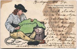 4 db RÉGI irredenta képeslap, vegyes minőségben / 4 pre-1945 irredenta postcards, mixed quality