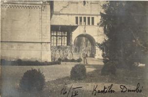 Kastélyosdombó, Gróf Erdődy kastély, photo