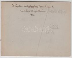 1913 A tapolca-szentgyörgyhegyi bazaltbánya vasúti telepe, hátoldalon feliratozott fotó, 10x13 cm