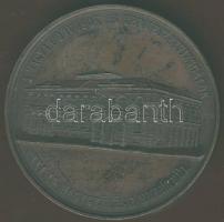 1880. "Szombathely-Magyar Orvosok és Természetvizsgálók..." Br plakett T:2+