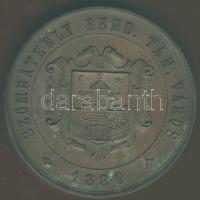 1880. "Szombathely-Magyar Orvosok és Természetvizsgálók..." Br plakett T:2+