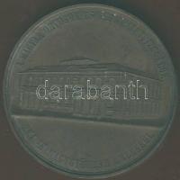 1880. "Szombathely-Magyar Orvosok és Természetvizsgálók..." Br plakett T:2+