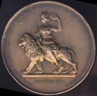 1845. "Pécs-Magyar Orvosok és Természetvizsgálók..." Br plakett szign.: Boehm T:2 pici ph