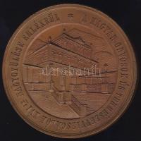 1872. "Mehádia-Magyar Orvosok és Természetvizsgálók..." Br plakett szign.: Seidan T:2+ k