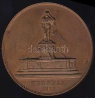 1872. "Mehádia-Magyar Orvosok és Természetvizsgálók..." Br plakett szign.: Seidan T:2+ k