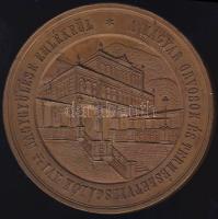 1872. "Mehádia-Magyar Orvosok és Természetvizsgálók..." Br plakett szign.: Seidan T:2+ k