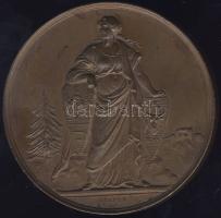 1876. "Máramaros-Magyar Orvosok és Természetvizsgálók..." Br plakett szign.: Seidan T:2 k,ü