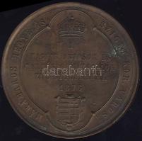1876. "Máramaros-Magyar Orvosok és Természetvizsgálók..." Br plakett szign.: Seidan T:2 k,...