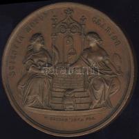1865. "Pozsony-Magyar Orvosok és Természetvizsgálók..." Br plakett szign.: Seidan T:3+ k,p...