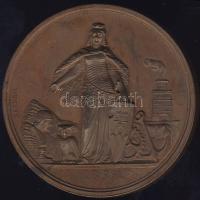 1866. "Rimaszombat-Magyar Orvosok és Természetvizsgálók..." Br plakett szign.: Seidan T:2/3+ pici ph