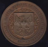 1866. "Rimaszombat-Magyar Orvosok és Természetvizsgálók..." Br plakett szign.: Seidan T:2/...