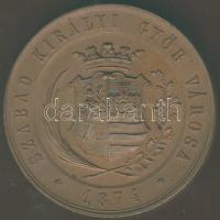 1874. "Győr-Magyar Orvosok és Természetvizsgálók..." Br plakett szign.: Seidan T:1/2