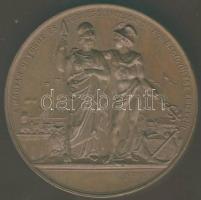 1874. "Győr-Magyar Orvosok és Természetvizsgálók..." Br plakett szign.: Seidan T:1/2