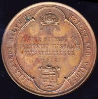 1874. "Máramaros-Magyar Orvosok és Természetvizsgálók..." Br plakett szign.: Seidan T:1/2